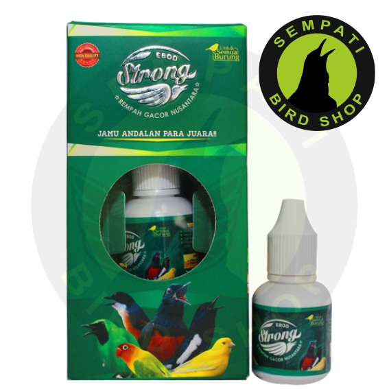 ebod strong vitamin burung meningkatkan stamina nafas panjang mengatasi serak sesak ebod strong vitamin burung meningkatkan stamina nafas panjang mengatasi serak sesak