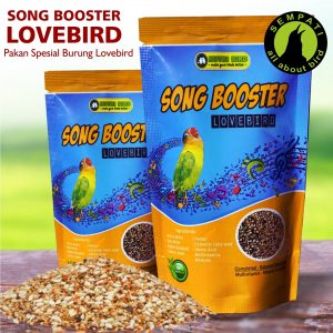 SONG BOOSTER LOVEBIRD