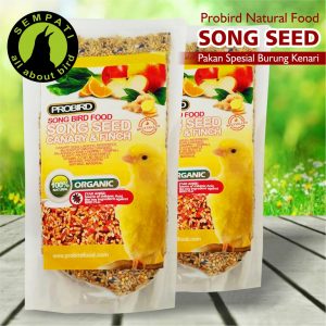 SONG SEED PROBIRD