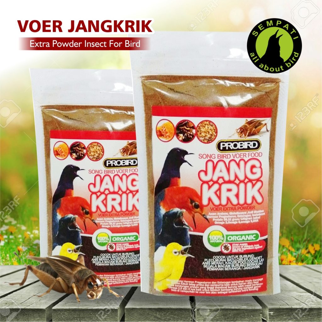 VOER JANGKRIK PROBIRD PAKAN BURUNG MURAI CIBLEK CENDET VOER JANGKRIK PROBIRD PAKAN BURUNG MURAI CIBLEK CENDET