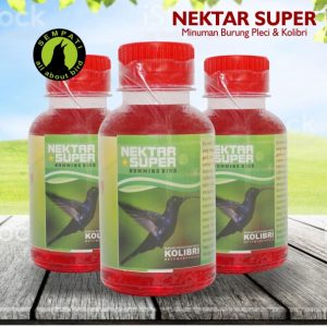 NEKTAR SUPER HUMMING BIRD