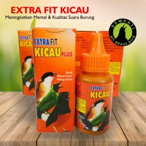 extra fit kicau