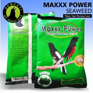 MAXXX POWER SEAWEED