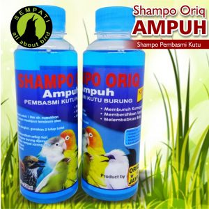 SHAMPO ORIQ AMPUH