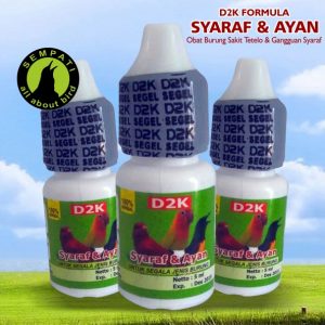 SYARAF & AYAN D2K