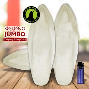 SOTONG JUMBO
