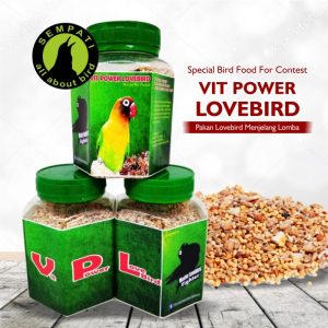 vit power lovebird