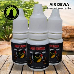 AIR DEWA