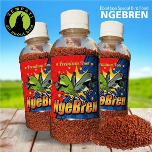 NGEBREN