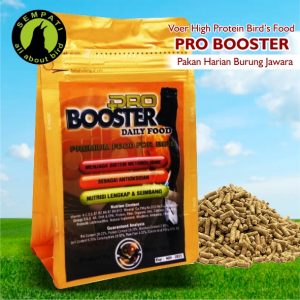 PRO BOOSTER DAILY GOLD
