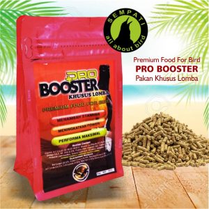 PRO BOOSTER KHUSUS LOMBAA
