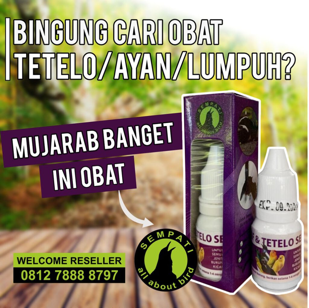 Gambar Pencegahan Murai Batu Lumpuh