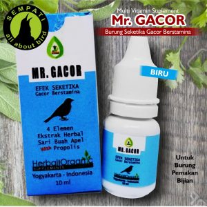 MR GACOR BIRU