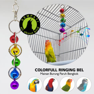 ring bell ringing bel