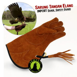 SARUNG TANGAN ELANG