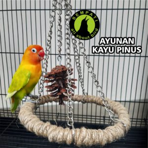 AYUNAN KAYU PINUS