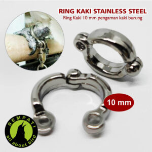 RING STAINLESS STEEL 10