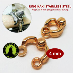 RING STAINLESS STEEL 4MM