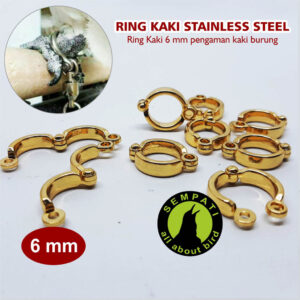 RING STAINLESS STEEL 6 MM