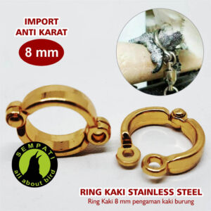 RING STAINLESS STEEL 8 MM