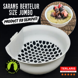 SARANG PLASTIK BERTELUR SEMPATI 2 proo