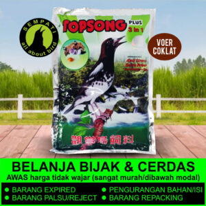 TOP SONG PLUS VOER COKLAT