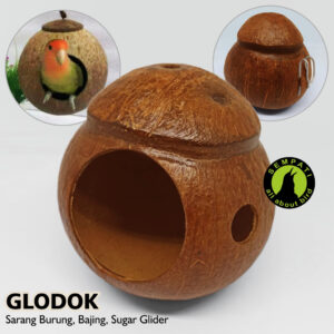 GLODOK LOVEBIRD BAJING