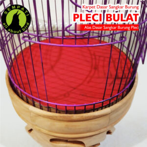 KARPET PLECI