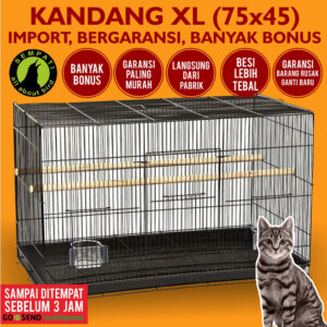 SANGKAR XL KUCING