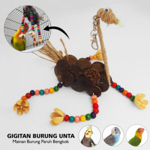 GIGITAN BURUNG UNTA