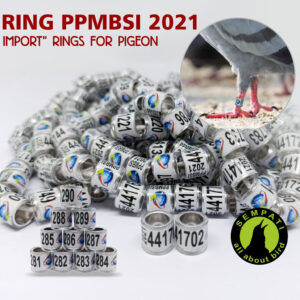 RING PPMBSI 2021 MARKET