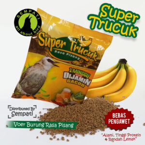SUPER TRUCUK VOER SEMPATI new upload