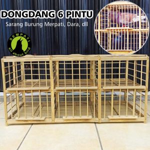DONGDANG 6 PINTU market