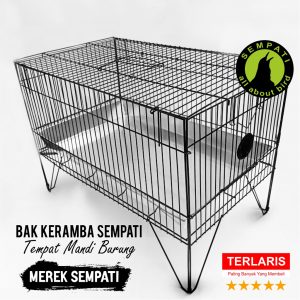 KERAMBA BURUNG market