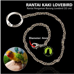 RANTAI KAKI BURUNG LOVEBIRD MARKET