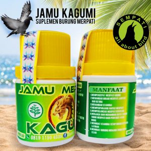 JAMU MERPATI KAGUMI BOTOL KUNING MARKET