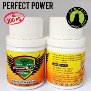 PERFECT POWER 100 BUTIR BUKALAPAK