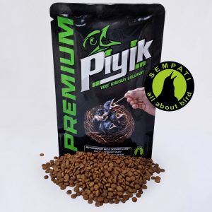 PIYIK PREMIUM SEMPATI BL