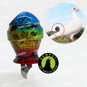 SAWANGAN MERPATI YAKULT 3