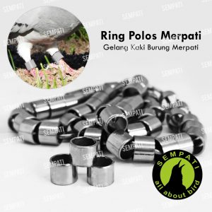 RING POLOS MERPATI 3