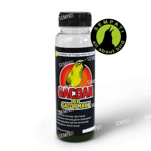 gacoan gacor maxx HOME BUKA LAPAK