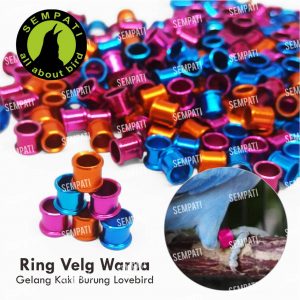 RING VELG RODA 4,8 MM LOVEBIRD 3