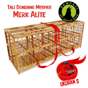 TALI DONDANG S HOME BUKA LAPAK