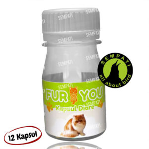 FUR YOU DIARE HIJAU HOME BUKA LAPAK