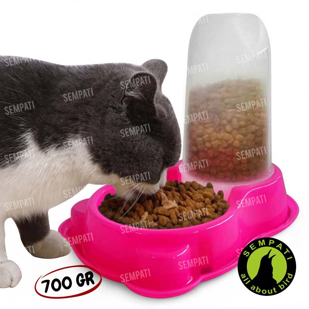 Pet hotsell feeder otomatis