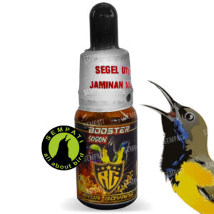 BOOSTER SOGON RAJA GOYANG (1) BL