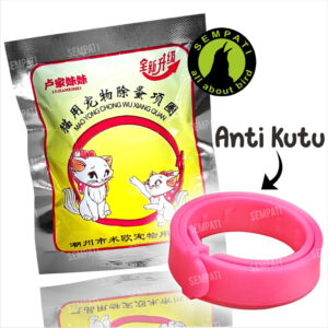 Kalung kucing anti kutu (1) BL