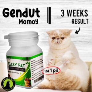Easy Fat 25 Capsul vitamin gemuk kucing (1) 3