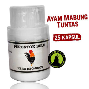 BUKALAPAK