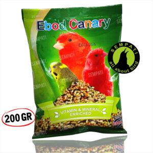 Ebod Canary (1) BL